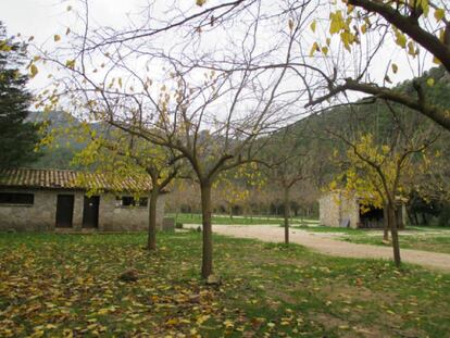 Zona d'acampada al Parc Natural dels Ports.