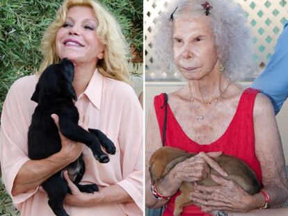 La baronesa Thyssen y la duquesa de Alba, con los cachorros en adopción, en Ibiza.