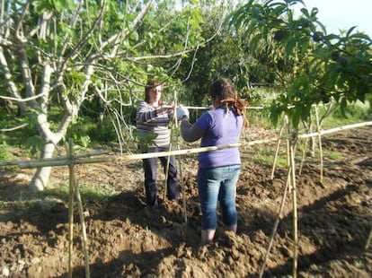 La alegría de la huerta. / HUERTOSCOMPARTIDOS.COM