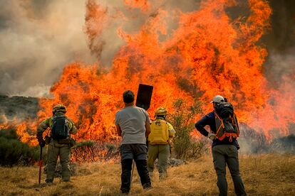 Bomberos de Castilla y León y voluntarios miran arder una zona en la que quieren hacer un cortafuegos.