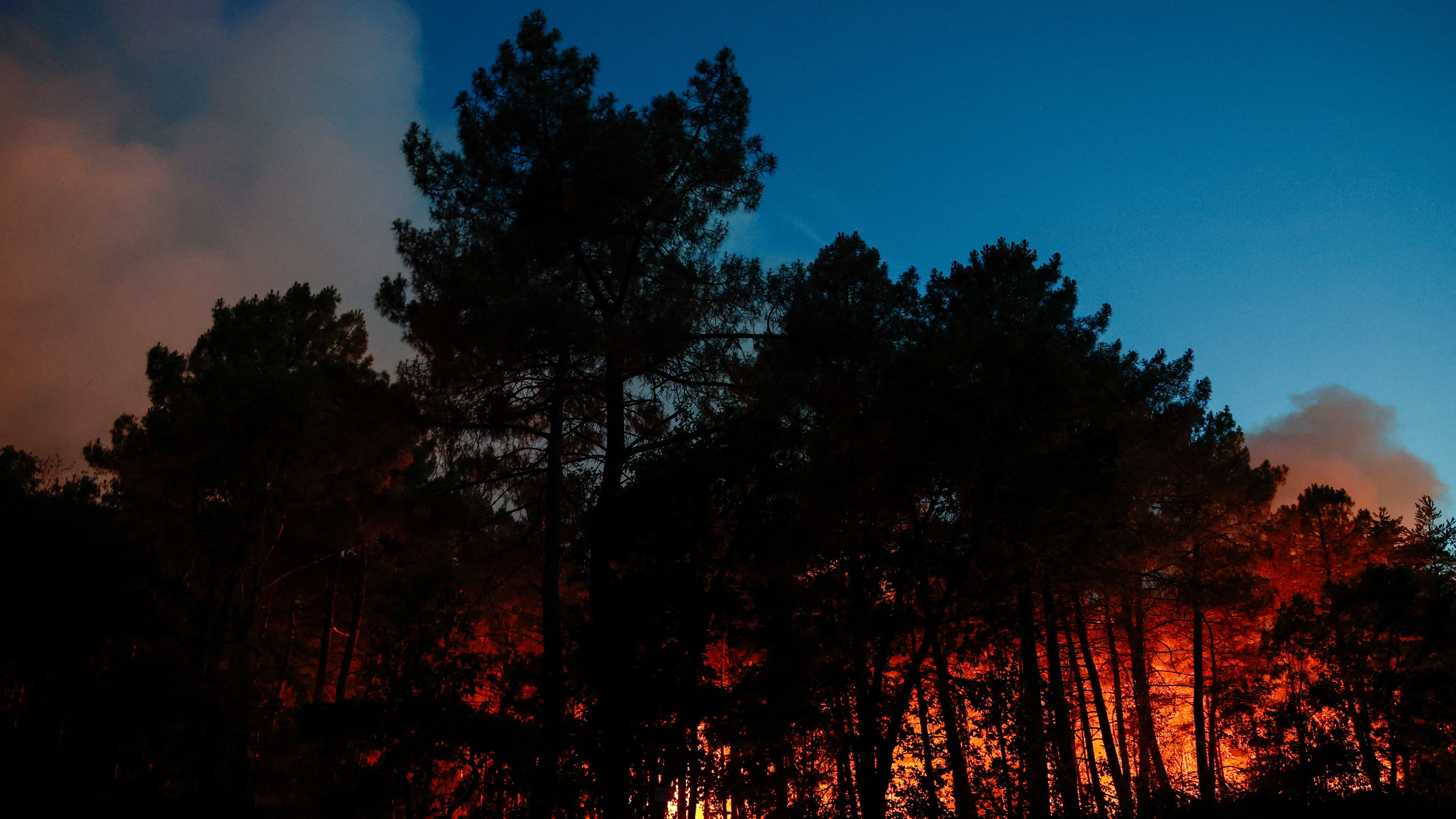 Un incendio devora el bosque de Fontainebleau, a las puertas de París