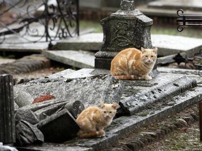Leyendas para el Día de Todos los Santos