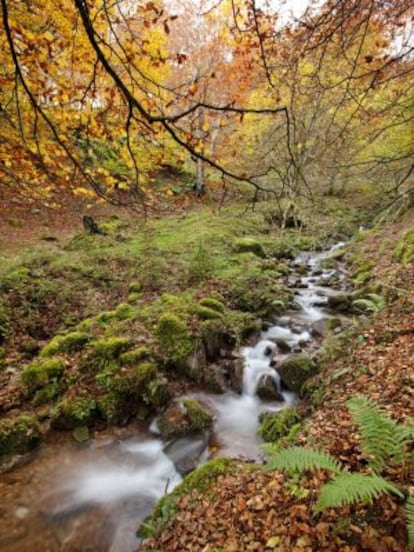 Cascada en la reserva natural Saja-Nansa, en Cantabria.