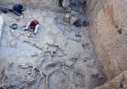 Esther Rodríguez, codirectora de la excavación (en el centro).