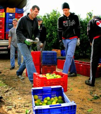 Trabajadores búlgaros y rumanos en la zona de Calicanto, cerca de Torrent (Valencia).