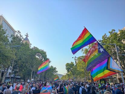 Manifestación unitaria contra la LTGBIfobia en Barcelona.