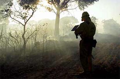 Un miembro del retén de extinción de incendios que ha trabajado en el fuego de Andújar.