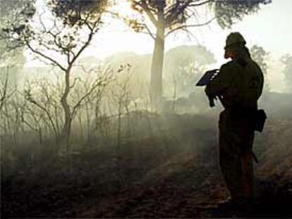 Un miembro del retén de extinción de incendios que ha trabajado en el fuego de Andújar.