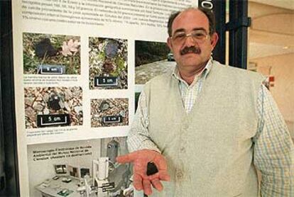 Javier García Guinea muestra un meteorito en el Museo Nacional de Ciencias Naturales.