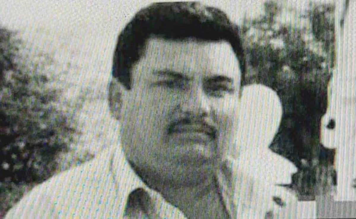 El Guano Guzmán, hermano de El Chapo, y el síndrome de los capos viejos