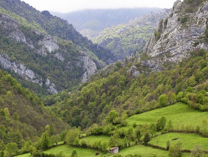 Asturias