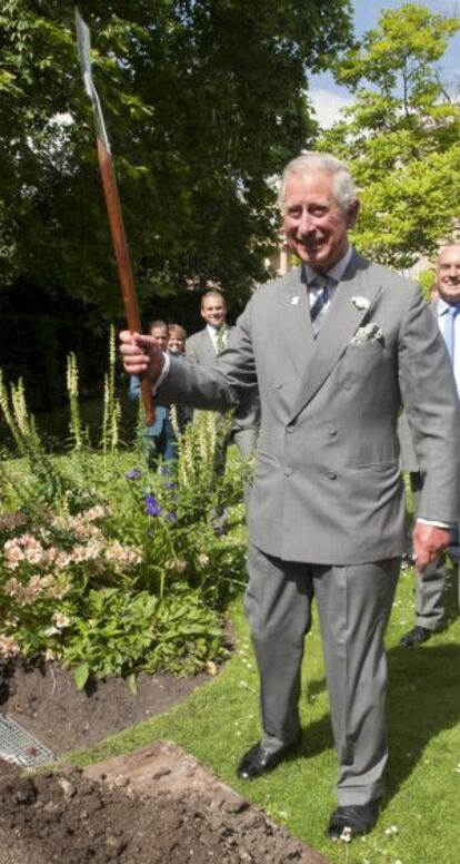 Carlos de Inglaterra plantando un árbol.