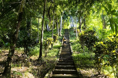 Hay que prepararse para el calipso, el críquet y el carnaval cuando se viaja a estas islas caribeñas, más conocidas por la observación de aves que por las playas. <a href="https://www.lonelyplanet.es/america-del-norte-y-central/trinidad-y-tobago" target="_blank">Trinidad y Tobago</a> son una hermosa contradicción. En Trinidad, los manglares vírgenes y las laderas cubiertas de selva tropical coexisten con refinerías y polígonos industriales. Tobago posee todo lo que cabe esperar de una isla caribeña, como palmeras y arena blanca, aunque la industria turística la ha cambiado poco. Combinadas, las dos islas que integran esta república ofrecen unas condiciones magníficas para observar aves, practicar el submarinismo de primera, bosques donde hacer senderismo, nadar en cascadas y montar en bicicleta; y una vida nocturna animada con el mejor carnaval de la región. La capital, Puerto España, es un lugar excelente para relacionarse con los trinitenses, ponerse al día con la música local y ver un partido de críquet, y solo un corto viaje la separa de las playas de Maracas Bay, una bahía en la costa norte con una ancha faja de arena negra y palmeras que contrastan con las verdes montañas que le sirven de fondo.