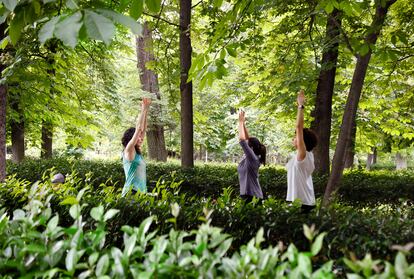 El parque del Retiro, en Madrid. Las urbes con mayor cercanía con la naturaleza ayudan a disminuir el riesgo de trastornos mentales.