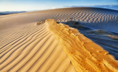 Dunas en el Fangar, en el delta del Ebro (Tarragona).