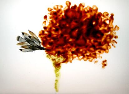 Ingredientes del gazpacho de Utile, en un homenaje al ratista Cy Twombly y su obra <i>Proteus</i>.