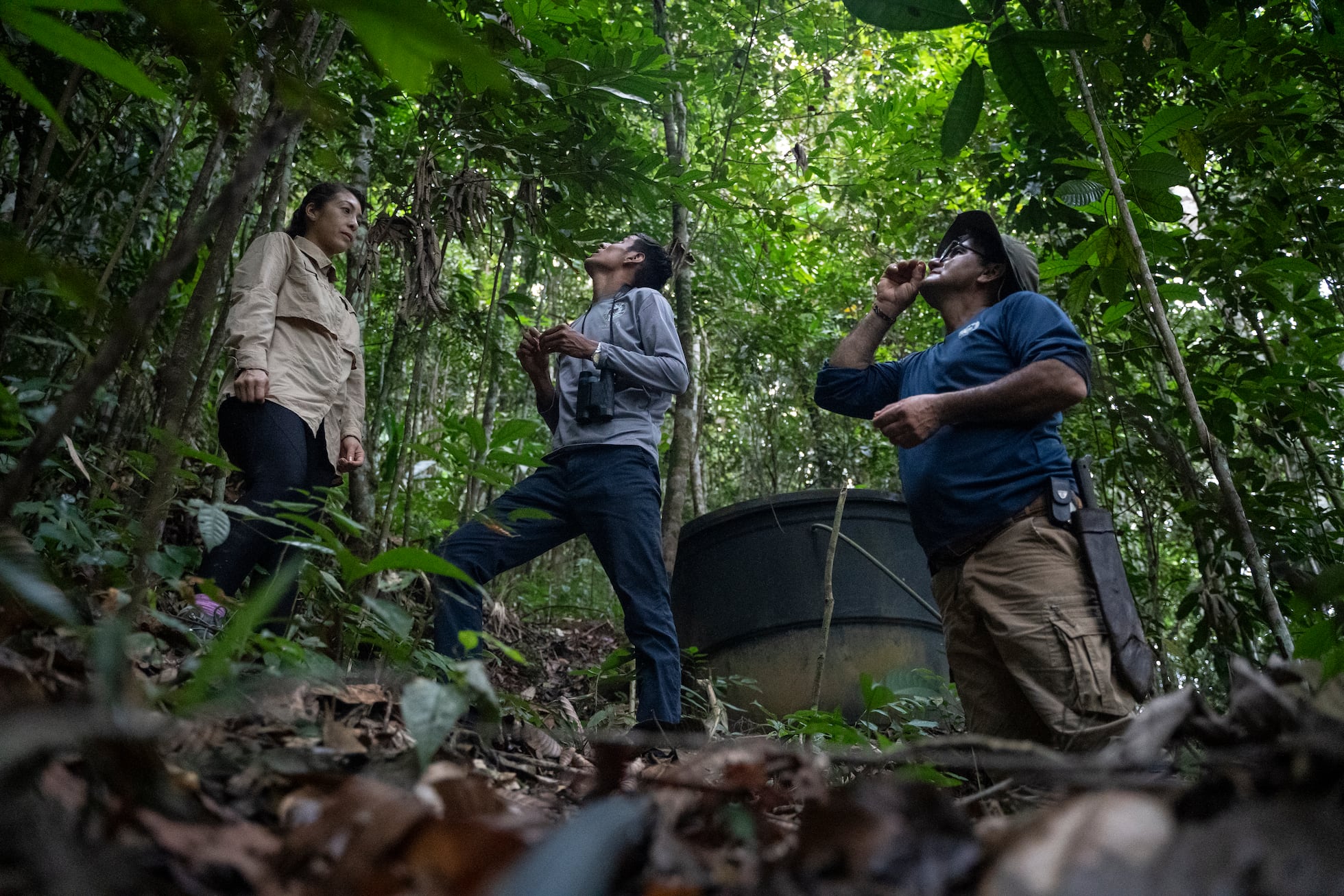 Un laboratorio de semillas en el corazón de la Amazonia para restaurar ...