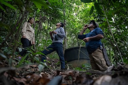 Bryan Castillo, Julie Hernández e Iván Gómez buscan semillas en el bosque de la finca de Amazonía Emprende. 
