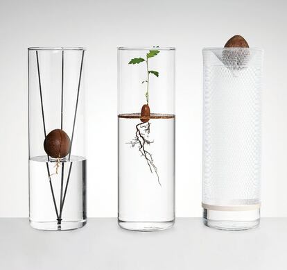 El chipriota Michael Anastassiades vive en Londres, desde donde diseña hoteles y restaurantes. Él elige la sutileza para compartir un diseño de autoconstrucción: una bellota o un hueso de aguacate colgados sobre el agua germinan y desarrollan plantas. Para convertir la germinación en espectáculo, el jarrón debe ser grande y transparente. El resto: una brida, un cúter, una almohadilla de corcho, varillas de metal, una malla de ajos y una bellota o el hueso de aguacate.