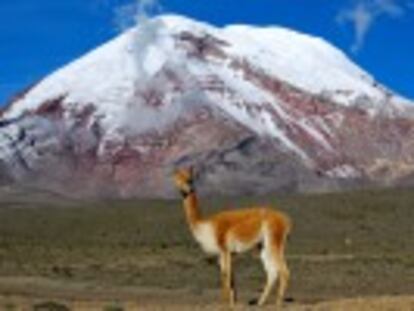 Medição por GPS confirma que o topo do Chimborazo é o ponto mais distante do centro da Terra