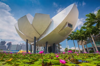 El primer museo de arte-ciencia del mundo fue inaugurado en 2011 en el complejo Marina Bay Sands de Singapur. El edificio, diseñado por Moshe Safdie, se asemeja a una flor de loto cuyo techo canaliza el agua de lluvia y la conduce hasta un lago que se encuentra en el primer nivel de la construcción. Tiene una pequeña colección permanente con algunas piezas de cerámica muy relevantes de la dinastía Tang (618–907) pero la mayoría de sus 21 galerías están dedicadas a exhibiciones itinerantes de primer nivel. Por aquí han pasado obras de Leonardo da Vinci, Salvador Dalí, Andy Warhol, Vincent Van Gogh o M. C. Escher. En paralelo, ha mostrado exposiciones sobre 'big data', paleontología, biología marina o exploración del espacio. <a href="https://www.marinabaysands.com/museum.html" target="_blank">marinabaysands.com</a>