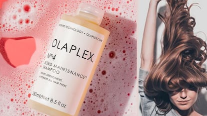 olaplex shampoo