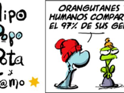 RAMÓN