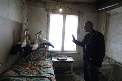 El granjero búlgaro Safet Ismail, de 53 años, junto a las cigüeñas que salvó de las heladas en Zaritsa, el 21 de marzo de 2018.
