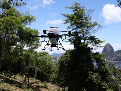 Un dron utilizado en el proyecto de reforestación en Río de Janeiro, en enero de 2024.