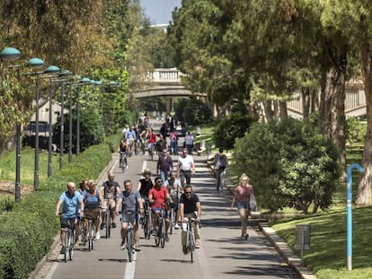 Bicis en el Jardín del Turia.