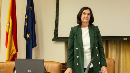 Cani Fernández, presidenta de la CNMC, en la Comisión de Asuntos Económicos del Congreso.