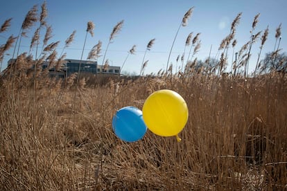 Globos con la bandera ucrania en la frontera entre Polonia y Ucrania.