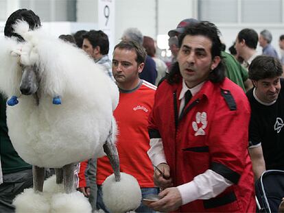 XXVI Exposición Internacional Canina de Guipúzcoa