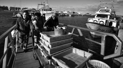 Els pescadors descarreguen els vaixells després d'arribar al port.