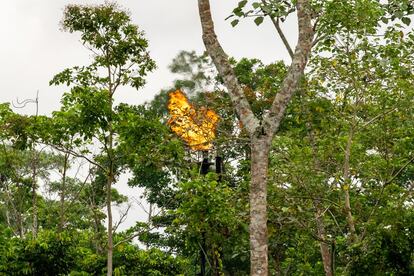 Los llamados 'mecheros' son enormes chimeneas que queman el gas de la extracción de petróleo, liberándolo en el aire. Los gases emitidos contaminan hasta el agua de lluvia, que constituye la primera fuente de abastecimiento de agua de los habitantes de la zona.