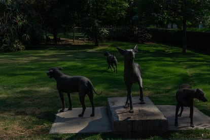 En el museo habitan especies como pavos reales y perros de raza xoloitzcuintle.