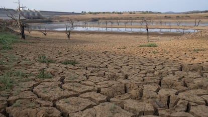 Estado del embalse de Sierra Boyera, en la localidad cordobesa de Belmez, a finales de mayo.