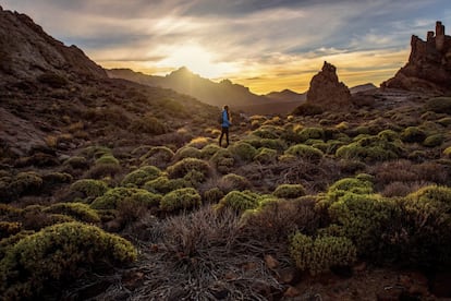 El mayor y más antiguo parque nacional de Canarias, patrimonio mundial desde 2007, es el más visitado de España y uno de los más populares de Europa. Cañadas del Teide se alza en el centro de Tenerife como una de las muestras de ecosistema volcánico más espectaculares del planeta. Conos y domos volcánicos, coladas de lava, pitones y cuevas conforman un extraordinario conjunto de colores y formas. Con especies vegetales endémicas y una importante fauna de invertebrados.