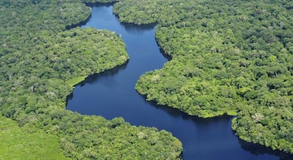 O rio Amazonas atravessa Brasil, Peru e Colômbia, ao longo de seus quase 6.500 quilômetros.