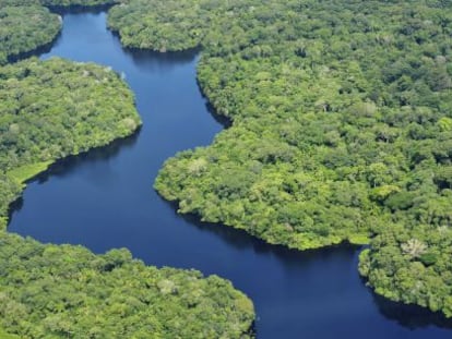 O rio Amazonas atravessa Brasil, Peru e Colômbia, ao longo de seus quase 6.500 quilômetros.