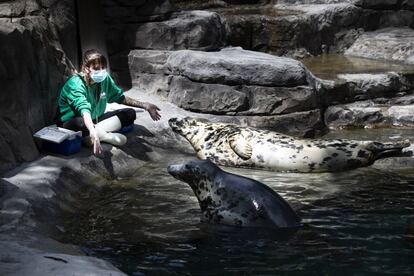 Visita al zoo de Madrid mes y medio despus de que se decretase el estado de alarma.