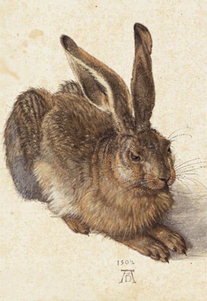 <i>La liebre</i> (1502) es el símbolo de Durero. La más célebre de sus acuarelas es perfecta en cuanto al retrato del natural.