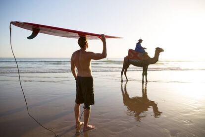 Un surfista observa el paso de un camello por una playa de Taghazout, en Marruecos.