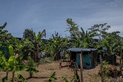 Tibú es uno de los municipios de la frontera entre Venezuela y Colombia más azotados por la violencia.