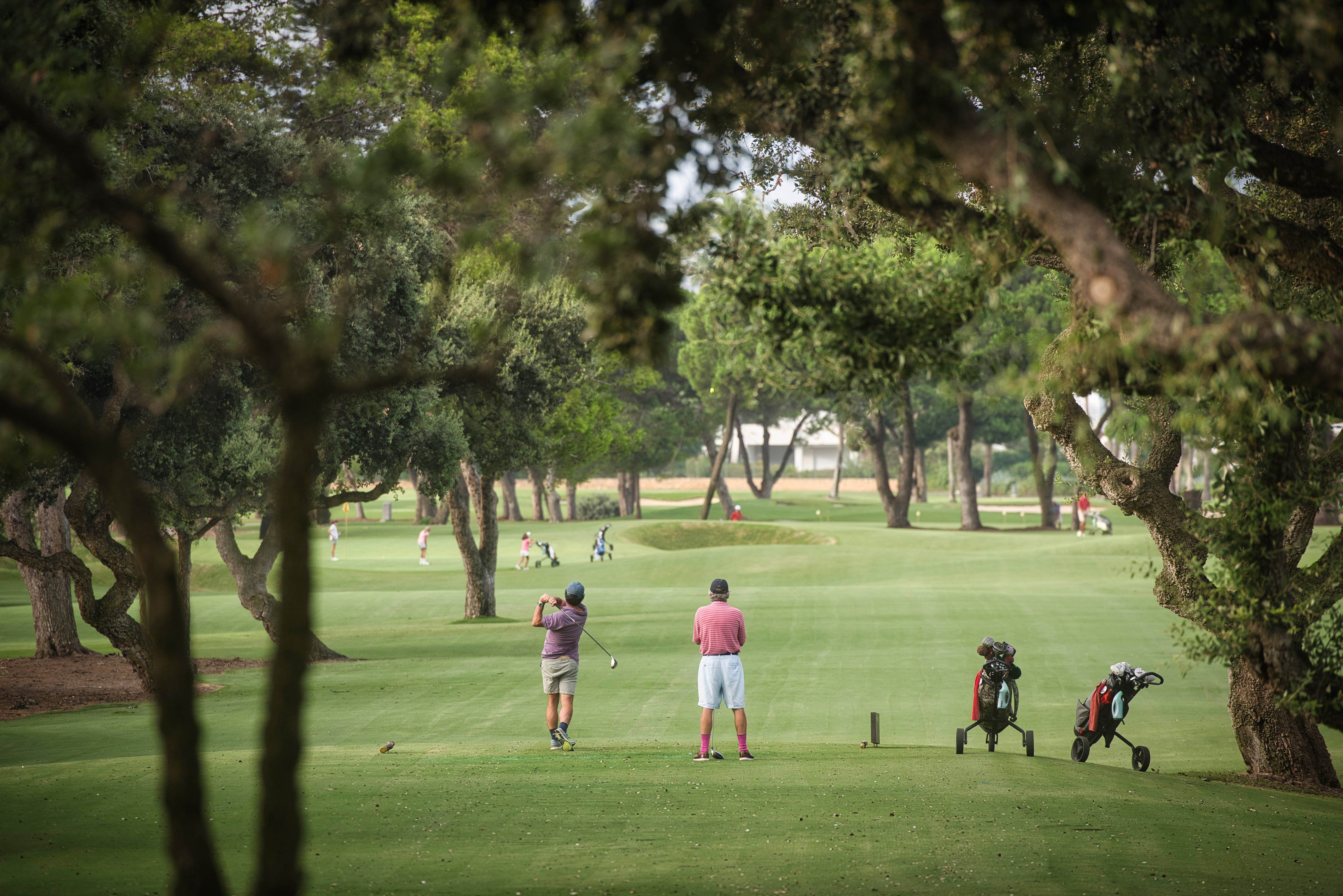 Dos hombres juegan al golf en el Real Club de Sotogrande, en Cádiz.