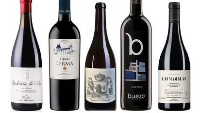 Cinco vinos de Arlanza, una D.O. desconocida con mucho futuro