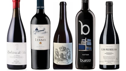 Cinco vinos de Arlanza, una D.O. desconocida con mucho futuro