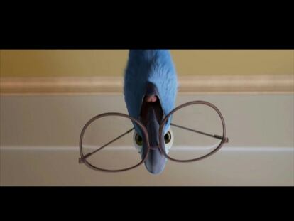 Tráiler de la película 'Rio'