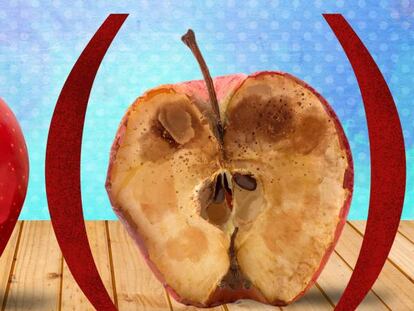 ¿Por qué la corrupción importa?