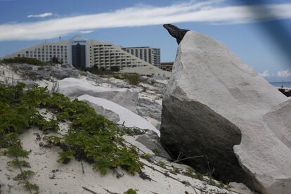 An iguana rests on a stone near a hotel in Cancun, August 15, 2015. Cancunâ€™s transformation in the 1970s from a small Caribbean fishing village into a strip of nightclubs and high-rise hotels has reduced biodiversity and polluted water resources as infrastructure struggles to keep up.  REUTERS/Edgard Garrido PICTURE 17 OF 34 FOR WIDER IMAGE STORY 'EARTHPRINTS: CANCUN'SEARCH 'EARTHPRINTS CANCUN' FOR ALL IMAGES